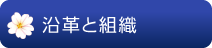 沿革と組織