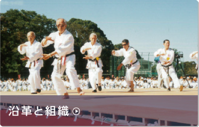 沿革と組織